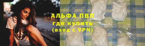 стаф Алексин