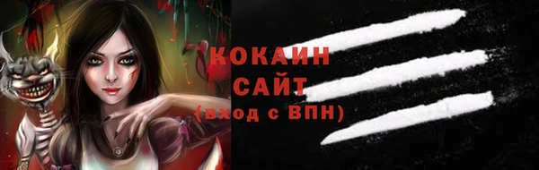 стаф Алексин