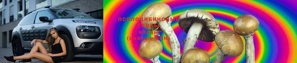 стаф Алексин