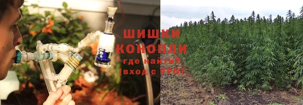 а пвп мука Алзамай