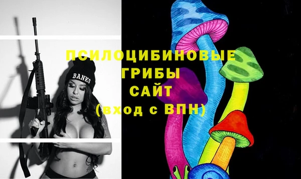 а пвп мука Алзамай